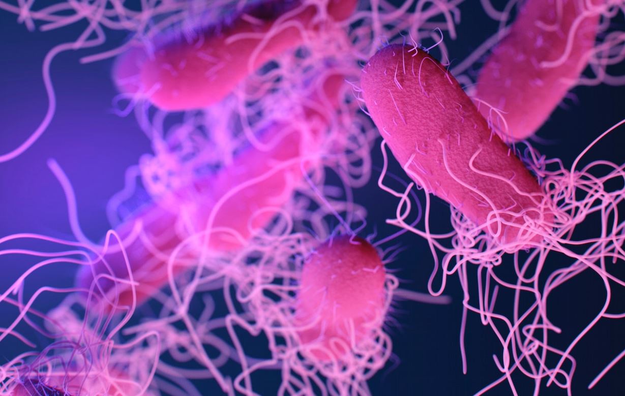 Mit KI schneller das richtige Antibiotikum finden
